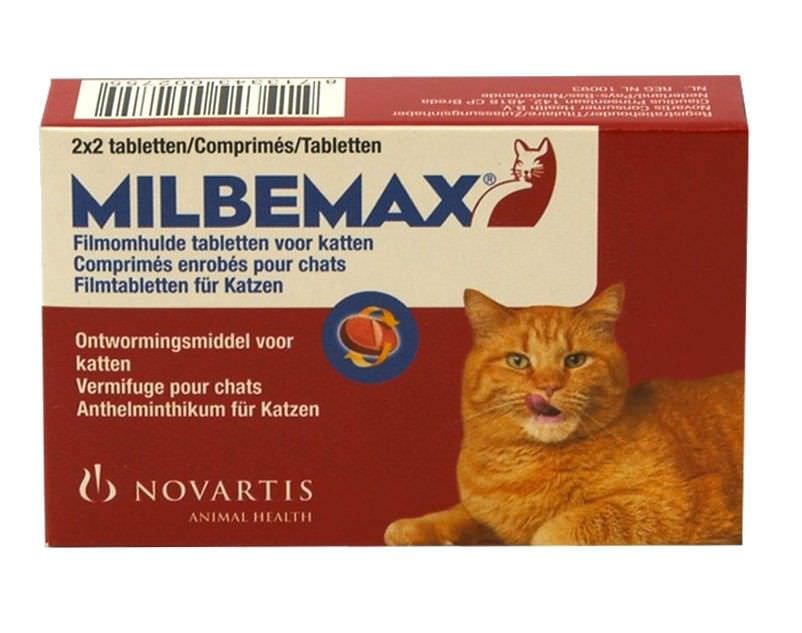 zooplus milbemax