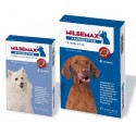 Milbemax Comprimés petits Chiens et Chiots – Vermifuge