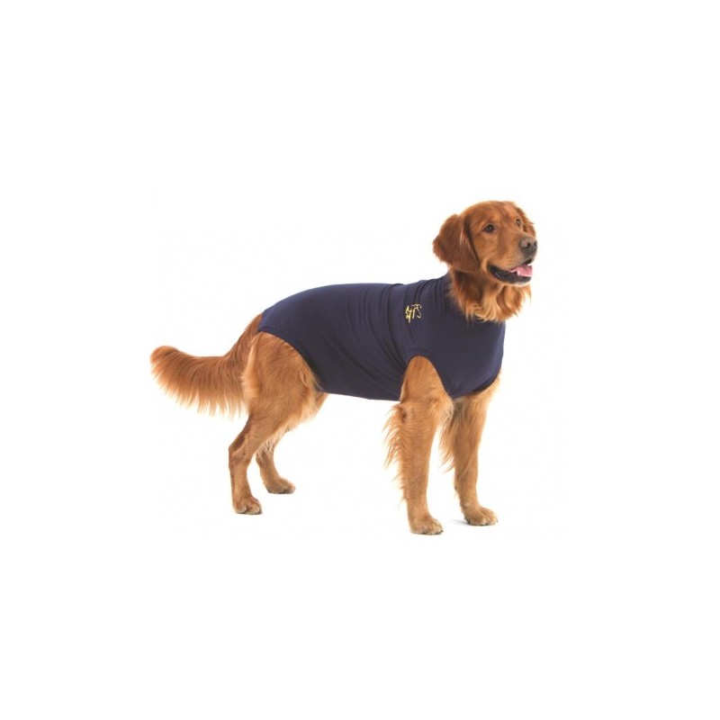 MPS-Medical Pet Shirt Chien  Comment enfiler sur votre chien ? 