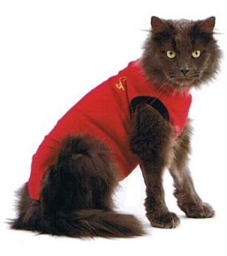 Medical Pet Shirt – Gilet de protection pour chats