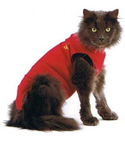 Medical Pet Shirt – Gilet de protection pour chat