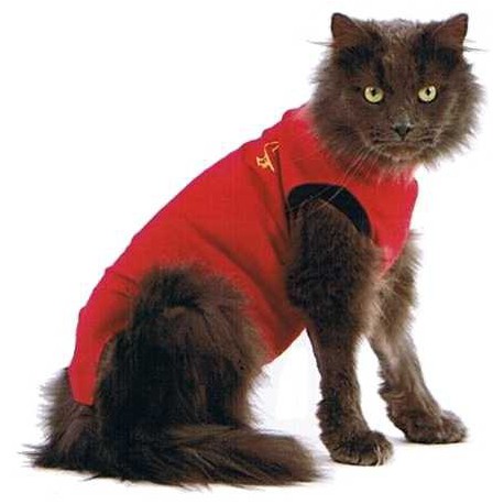 Medical Pet Shirt – Gilet de protection pour chats