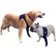 MPS Taz – Manchon de protection pour chiens