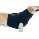 Medical Pet Top Shirt – Gilet de protection pour chiens