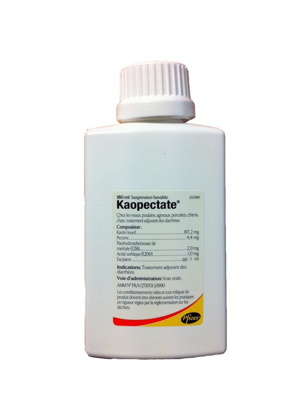 Kaopectate Traitement Des Diarrhees Pour Chiens Et Chats Pfizer Direct Vet