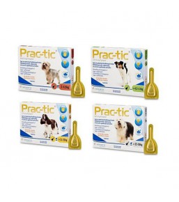 Prac-tic - Pipettes anti-puces et anti-tiques pour chien