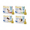 Prac-tic - Pipettes anti-puces et anti-tiques pour chien