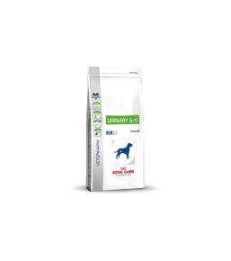 Royal Canin Urinary S/O chien - Croquettes