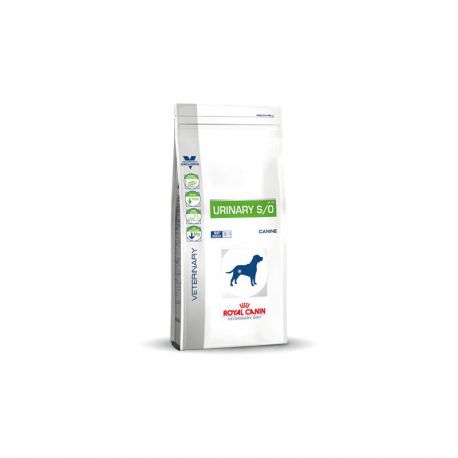 Royal Canin Urinary S/O chien - Croquettes