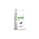 Royal Canin Urinary S/O chien - Croquettes