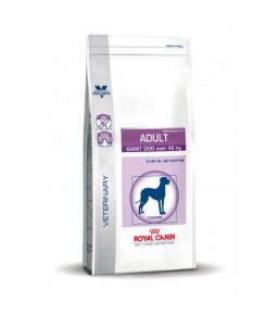 Royal Canin Adult Giant Dog (plus de 45kg) - Croquettes