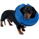 Collerette gonflable Buster pour chien ou chat