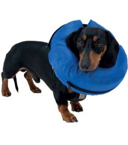 Collerette gonflable Buster pour chien ou chat