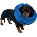 Collerette gonflable Buster pour chien ou chat