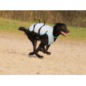 Manteau Rafraichissant pour chien DRY Cooling Vest