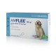 Amflee Spot-On - Pipettes anti-tiques, puces et poux pour chiens