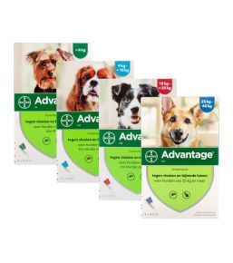 Dolthene chien suspension buvable - Vermifuge canin