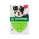 Advantage 250 chien moyen x4