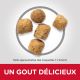 Science Plan Chat Adulte Light au Poulet - Croquettes