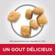 Science Plan Chat Adulte Oral Care - Croquettes