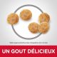 Science Plan Chat Mature Adult 7+ au Poulet - Croquettes