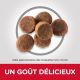 Science Plan Puppy Large Breed Chicken - Croquettes pour chiot