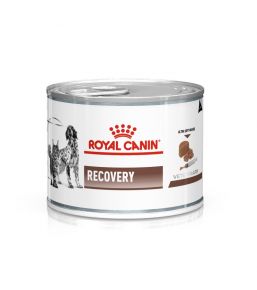 Royal Canin Recovery