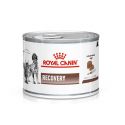 Royal Canin Recovery