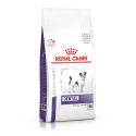 Royal Canin Dental Chien moins de 10kg - Croquettes