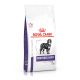 Royal Canin Adult Neutered Large Dog (25 à 45 kg) - Croquettes