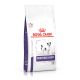 Royal Canin Adult Neutered Small Dog (moins de 10 kg)