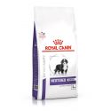 Royal Canin Junior Neutered Large Dog (25 à 45kg) - Croquettes