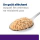 Hill's Prescription Diet U/D Canine - Boîtes de 12x370 g