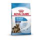 Royal Canin Starter Mother & Babydog Maxi (25 à 45kg) - Croquettes pour chiot