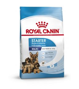 Royal Canin Starter Mother & Babydog Maxi (25 à 45kg) - Croquettes pour chiot