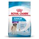 Royal Canin Junior Giant Dog (plus de 45 kg) - Croquettes pour chien