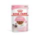 Royal Canin Kitten - Sachets de bouchées en sauce pour chaton