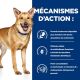 Hill's Prescription Diet I/D Canine Digestive Care - Boîtes