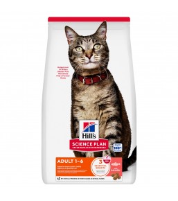 Hill's Science Plan Chat Adulte au Saumon - Croquettes