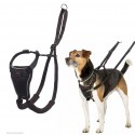 Harnais anti-traction Halti double contr™le pour chien