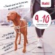 Harnais anti-traction Halti double contr™le pour chien