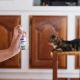 Zenifel spray relaxant de phéromones pour les chats