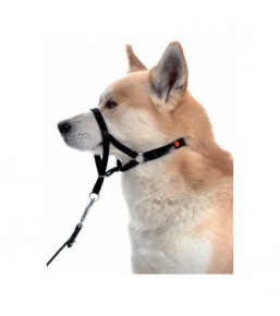 Halti - Licol anti traction pour chiens