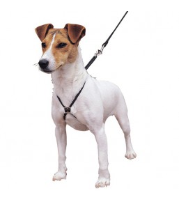 Lupi - Harnais anti traction pour chiens