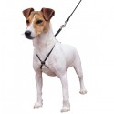 Lupi - Harnais anti traction pour chiens