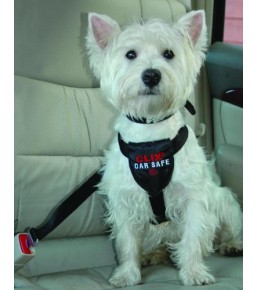 Clix Car Safe - Ceinture de sécurité pour chien