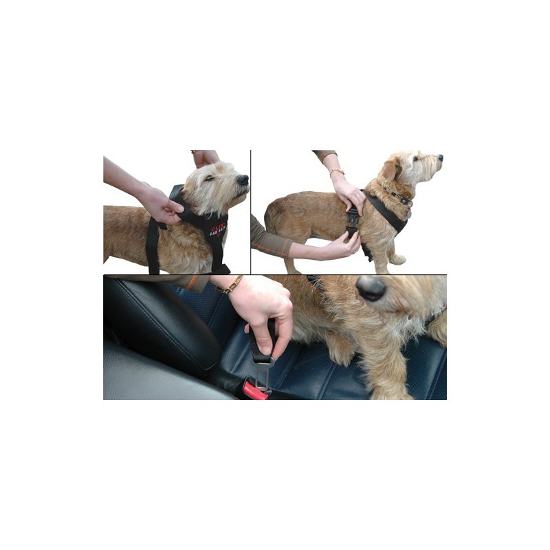 Clix CarSafe harnais de voiture pour chien