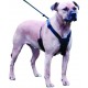 Sporn - Harnais anti traction pour chiens LARGE