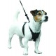 Sporn - Harnais anti traction pour chiens SMALL