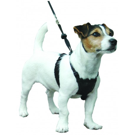 Sporn - Harnais anti traction pour chiens SMALL